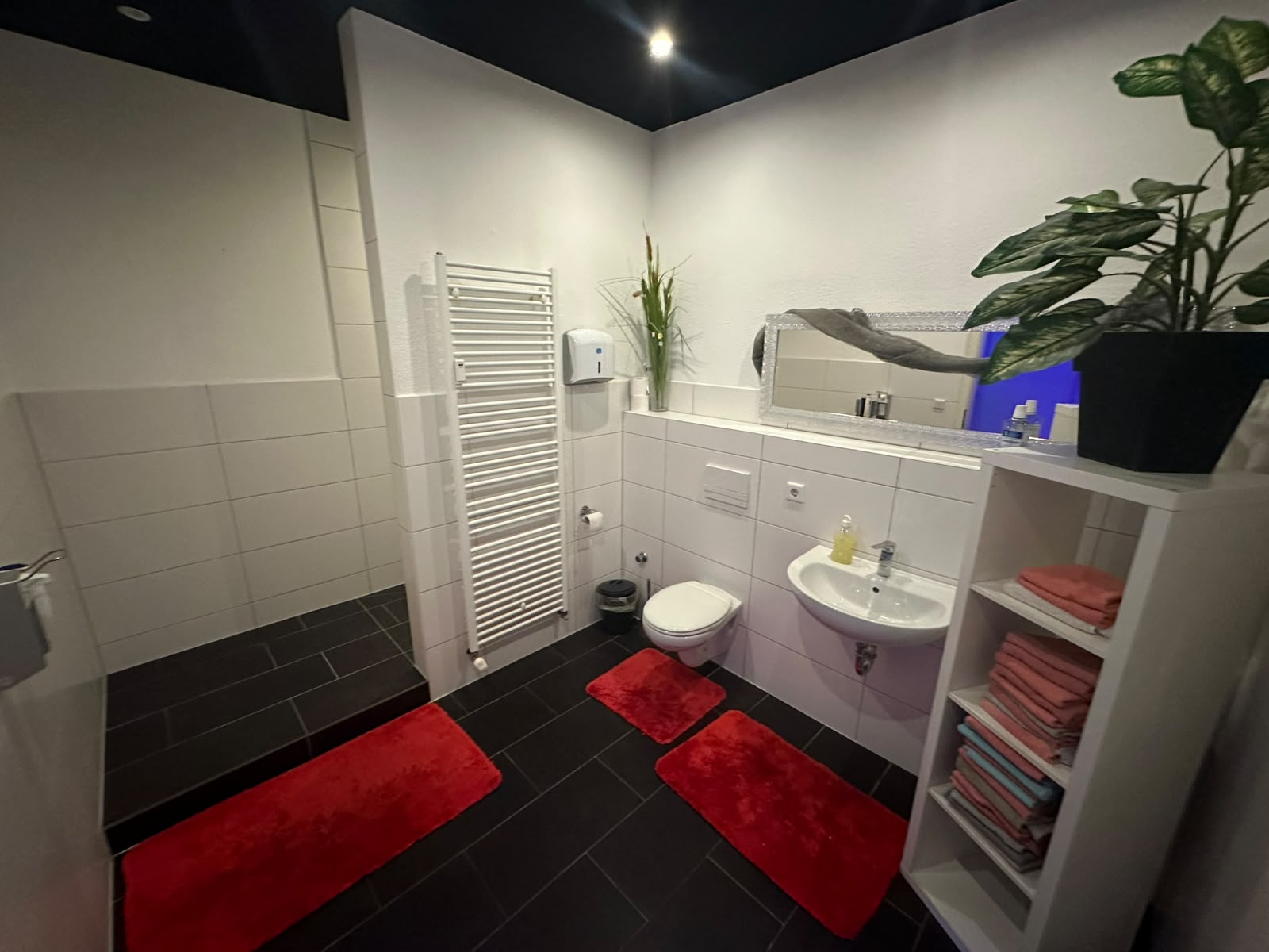 Modernes Duschbad